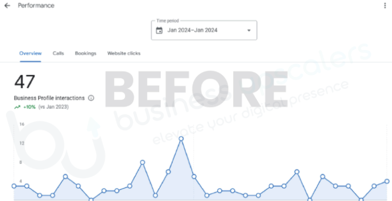 Google Business Profile overview before