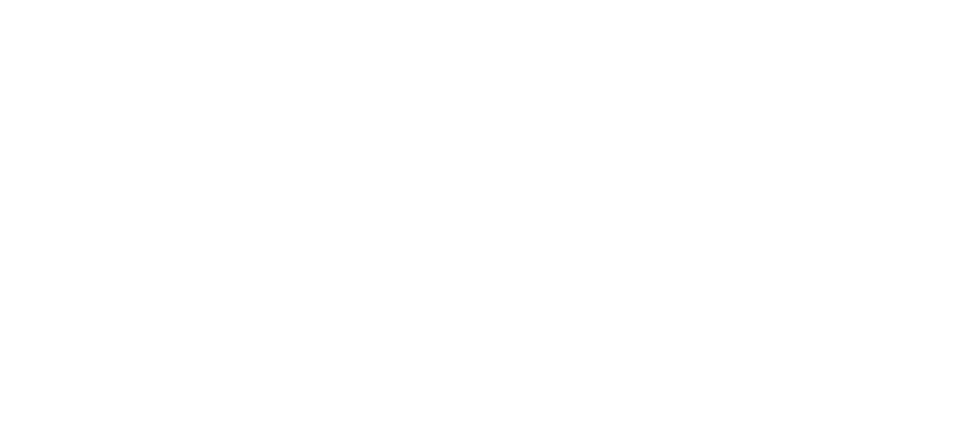 Shopify Plus Partner logo